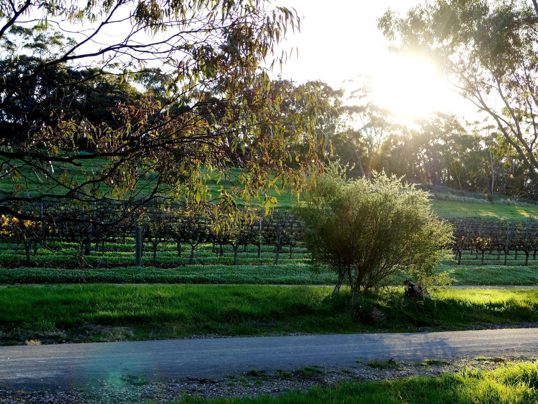 Farrell Flat The Fruiterer'S Bed & Breakfast エクステリア 写真